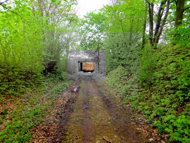 Altmühltrail 2015