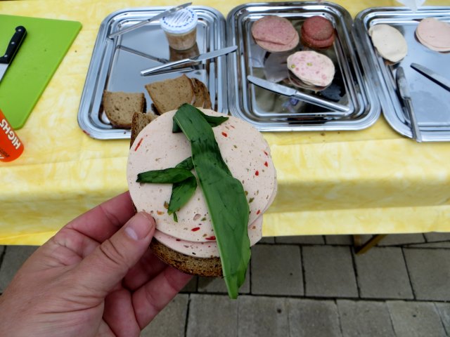 Altmühltrail 2015