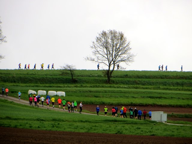 Altmühltrail 2015