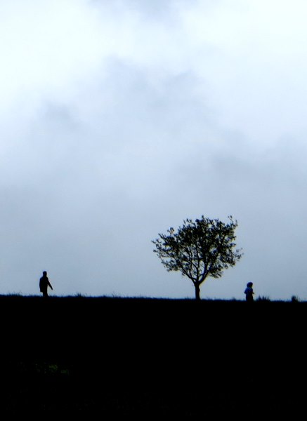 Altmühltrail 2015
