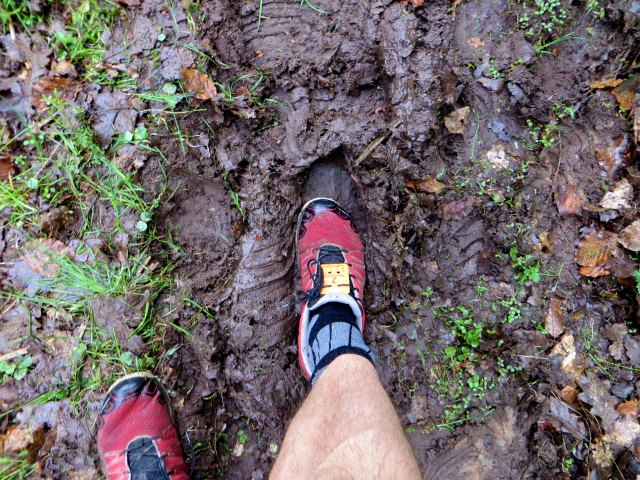 Altmühltrail 2015