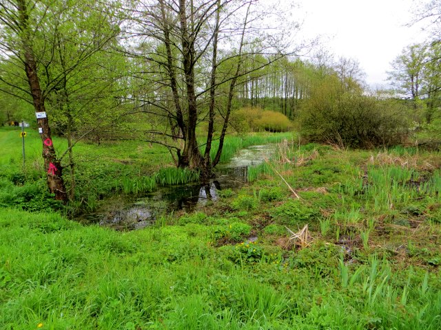 Altmühltrail 2015