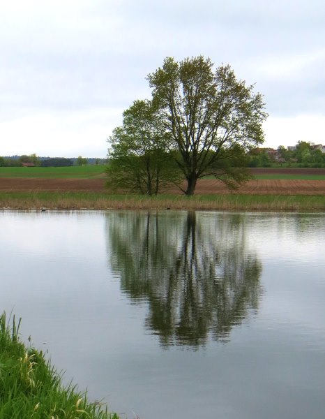 Altmühltrail 2015