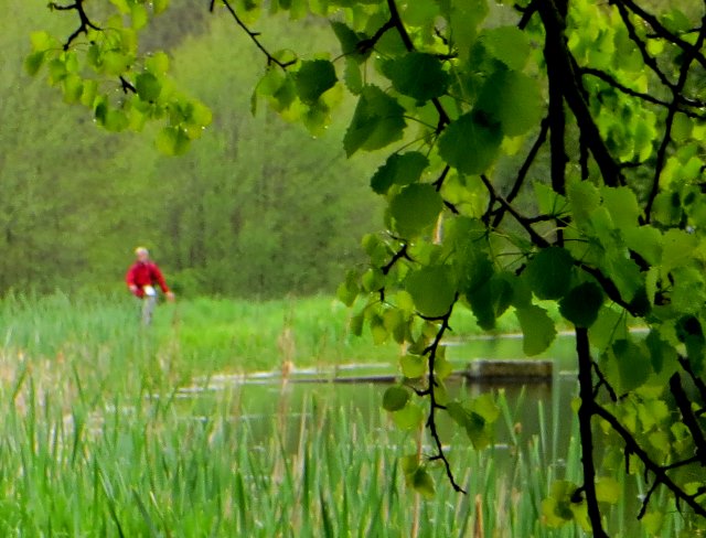 Altmühltrail 2015