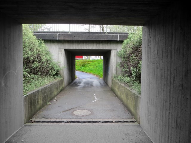 Altmühltrail 2015