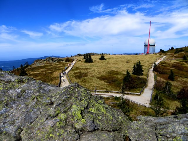 Der König im Bayerwald beim Ultratrail Lamer Winkel 2015