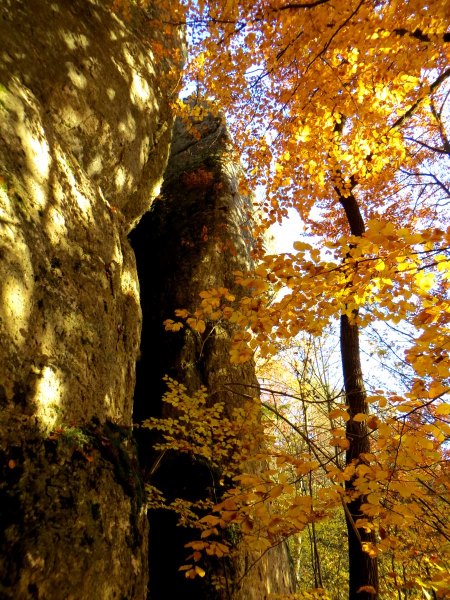 Joggingtour zwischen Behringersmhle, Brenschlucht und Gweinstein