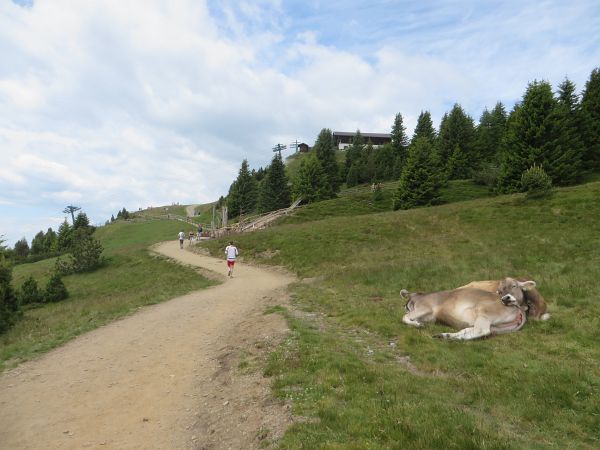 Brixen Marathon 2015