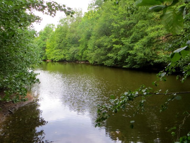 Joggingtour durch die Hassberge von Ebern nach Ebelsbach am 04.09.2015