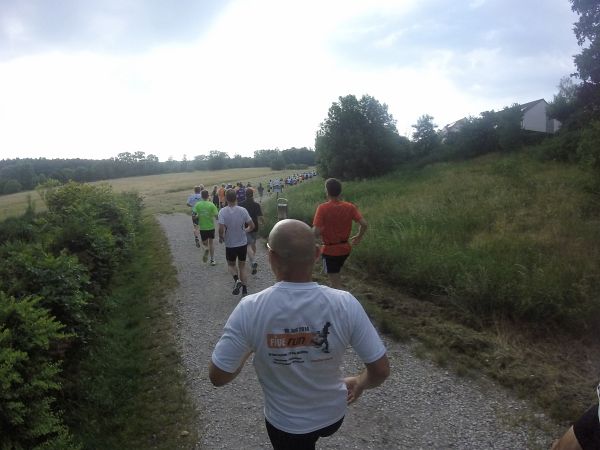 Fun Run Sdwest 2015