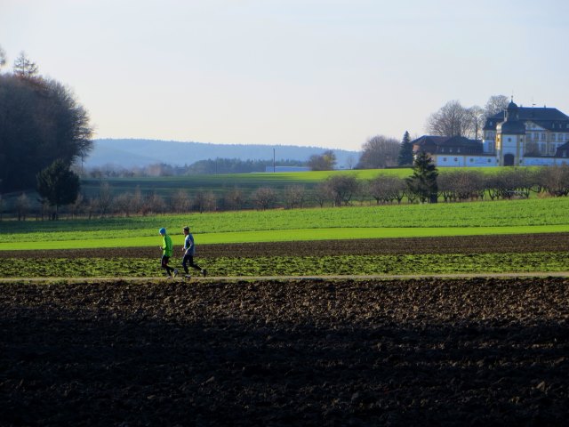 Geburtstagslauf in den Forchheimer Wldern