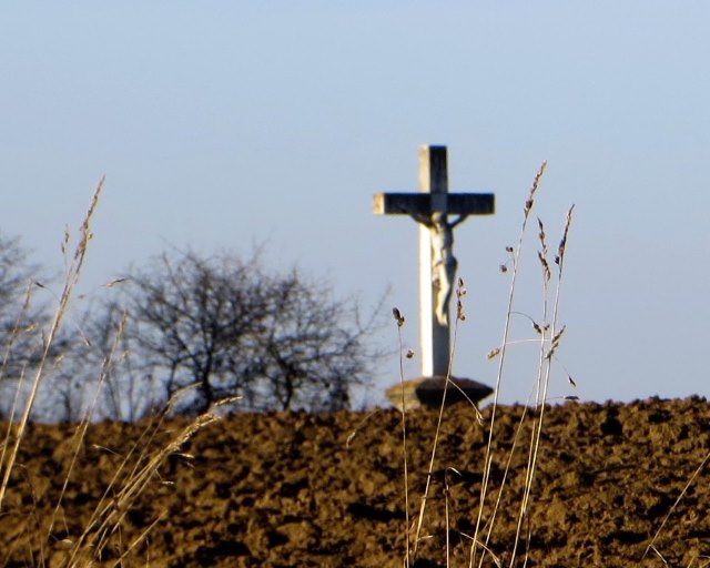 Geburtstagslauf in den Forchheimer Wldern