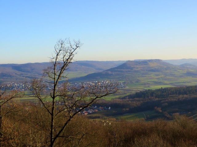 Geburtstagslauf in den Forchheimer Wldern