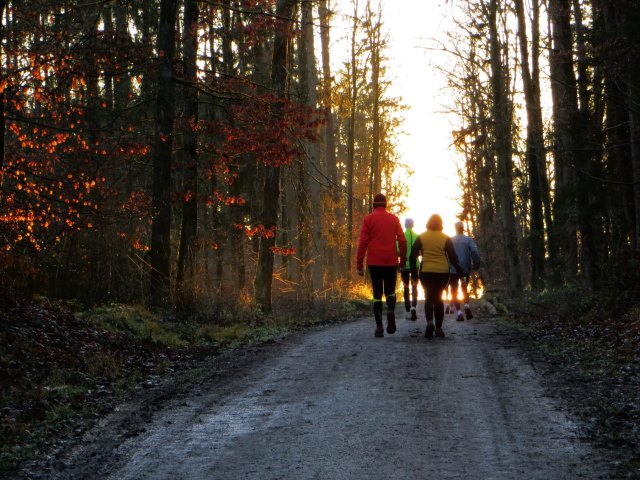 Geburtstagslauf in den Forchheimer Wldern