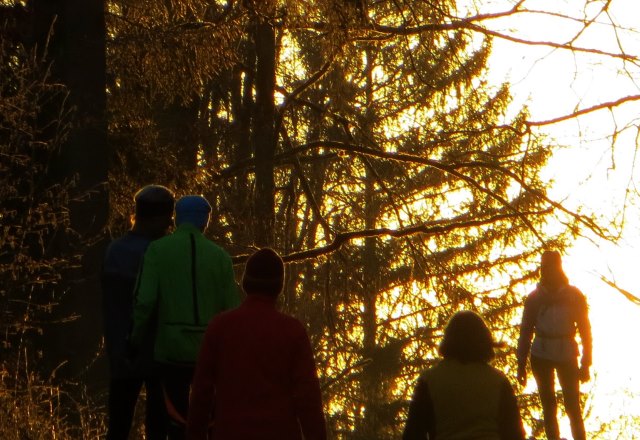 Geburtstagslauf in den Forchheimer Wldern