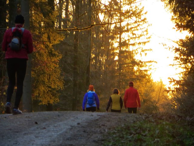 Geburtstagslauf in den Forchheimer Wldern