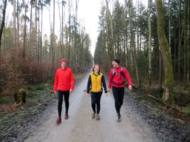 Geburtstagslauf in den Forchheimer Wldern