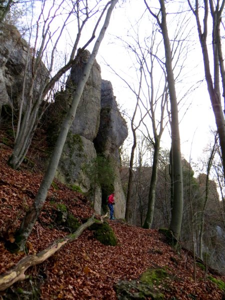 Genusslauf-Marathon am 14.11.2015