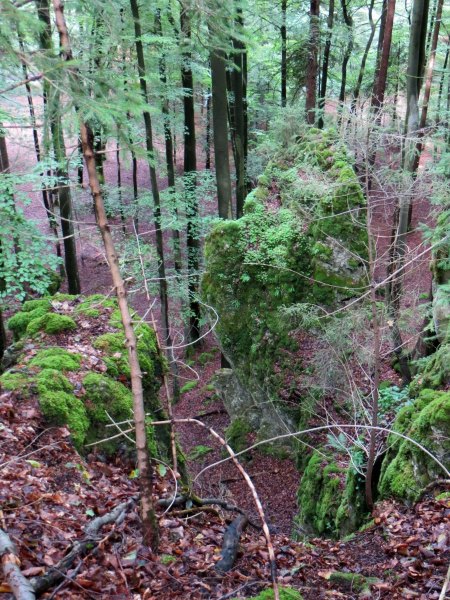 Joggingtour auf der Genusslaufmarathonstrecke in der Frnkischen Schweiz bei Gweinstein am 18.08.2015