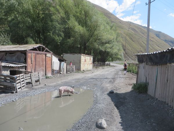 Kazbegi Marathon 2015