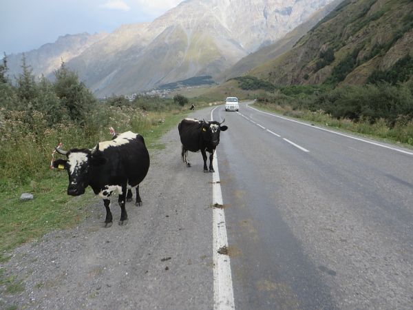 Kazbegi Marathon 2015