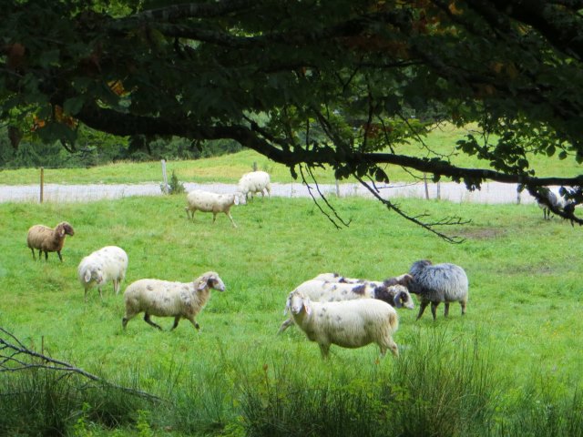 Joggingtouren bei Das Kranzbach vom 21.09 - 24.09.2015