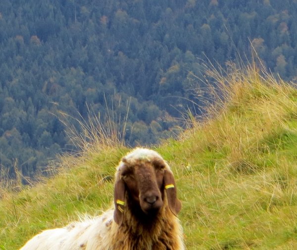 Joggingtouren bei Das Kranzbach vom 21.09 - 24.09.2015