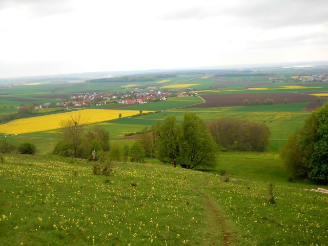 Altmühltrail 2015