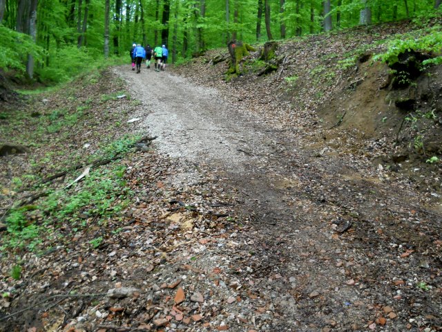 Altmühltrail 2015
