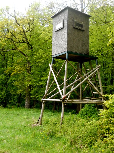 Altmühltrail 2015