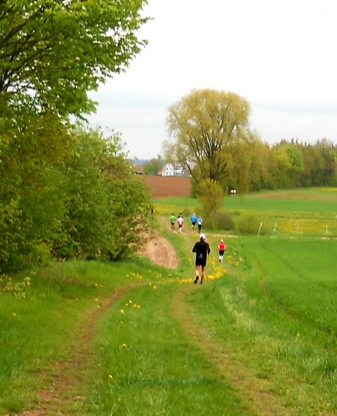 Altmühltrail 2015