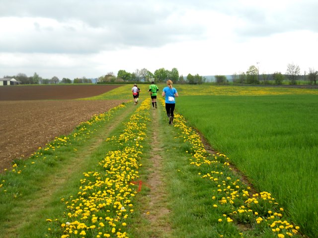 Altmühltrail 2015