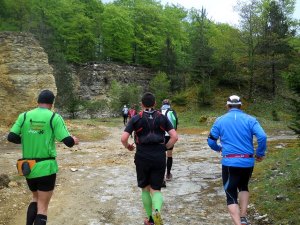 Altmühltrail 2015