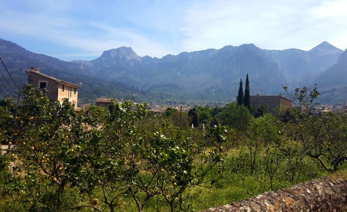 Ultra Mallorca Serra de Tramuntana  2015