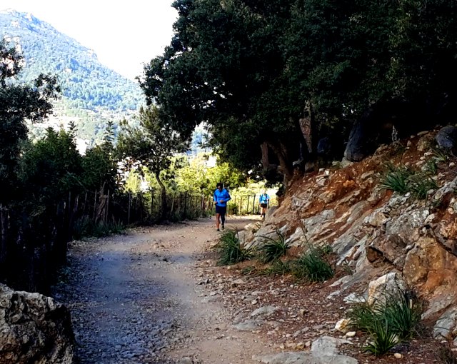 Ultra Mallorca Serra de Tramuntana 2015