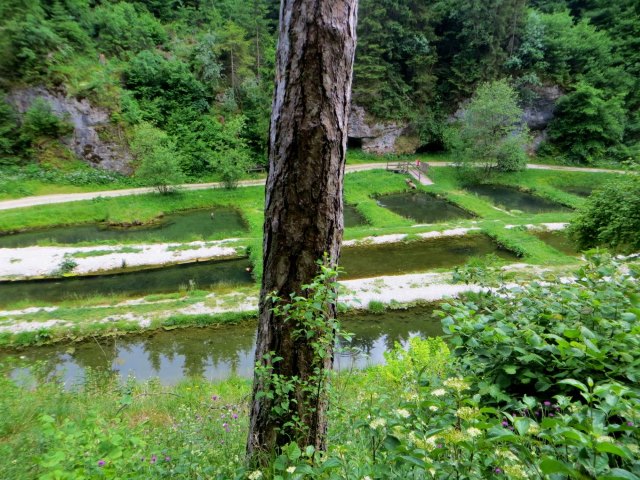 Biwak-Traillauf vom 11.6. - 12.6.15 von Neuhaus nach Forchheim