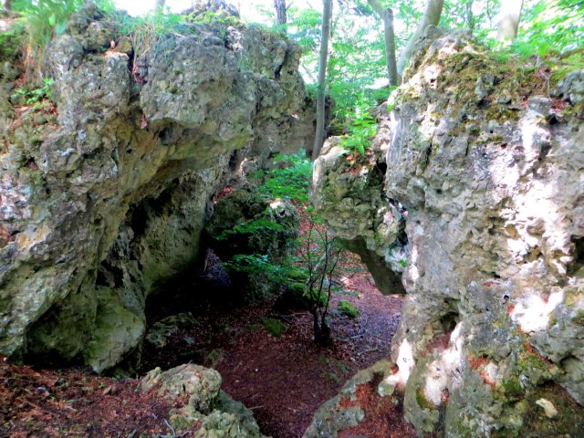 Joggingtour von Neuhaus nach Hersbruck am 26.06.2015