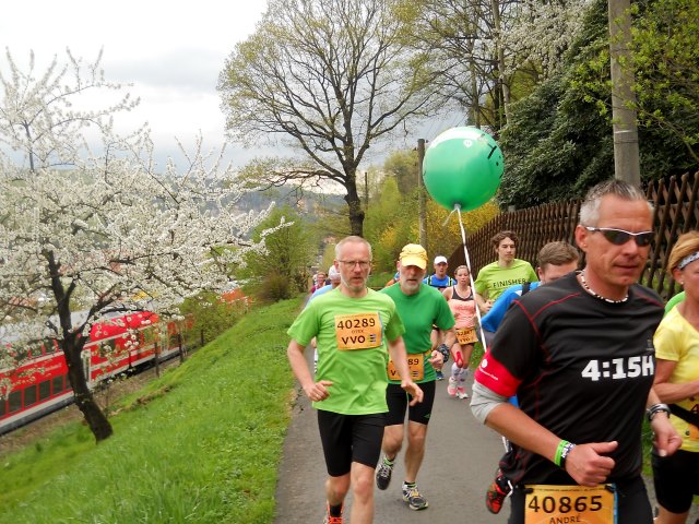 Oberelbe Marathon  2015