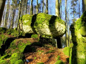 Joggingtour auf den Ossinger und Steinberg am 03.03.2015