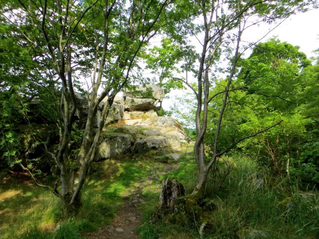 Trainingslauf 2 für Bezirksorientierungslauf 5 - 120 km langer Biwaklauf durch die Rhön vom 10. - 12.07.2015