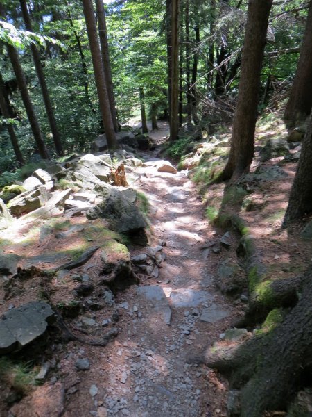 Trainingslauf 2 für Bezirksorientierungslauf 5 - 120 km langer Biwaklauf durch die Rhön vom 10. - 12.07.2015