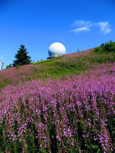 Trainingslauf 2 für Bezirksorientierungslauf 5 - 120 km langer Biwaklauf durch die Rhön vom 10. - 12.07.2015