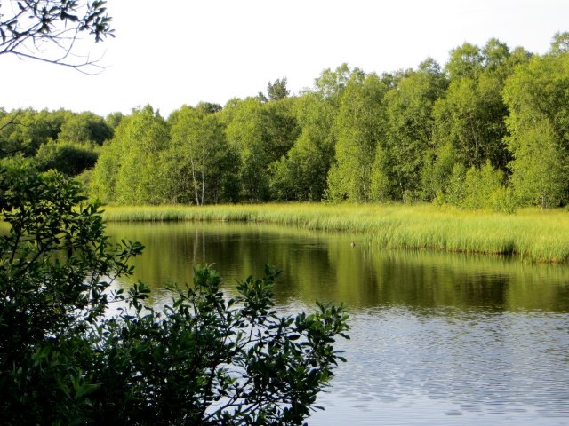 Trainingslauf 2 für Bezirksorientierungslauf 5 - 120 km langer Biwaklauf durch die Rhön vom 10. - 12.07.2015