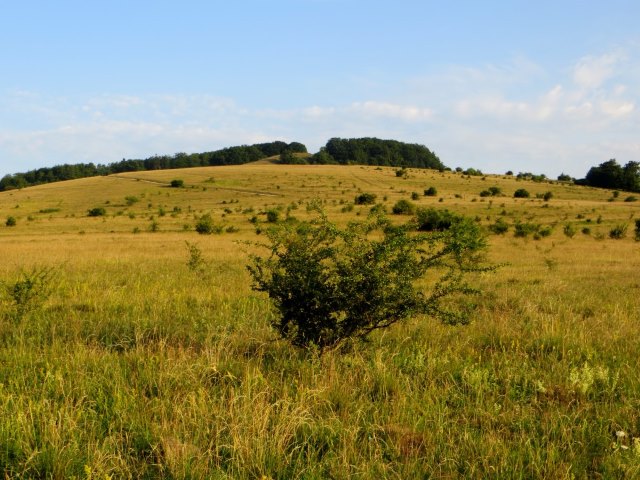 Trainingslauf 2 für Bezirksorientierungslauf 5 - 120 km langer Biwaklauf durch die Rhön vom 10. - 12.07.2015