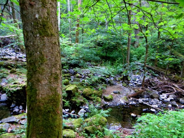 Trainingslauf 2 für Bezirksorientierungslauf 5 - 120 km langer Biwaklauf durch die Rhön vom 10. - 12.07.2015