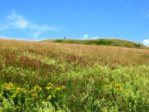 Trainingslauf 2 für Bezirksorientierungslauf 5 - 120 km langer Biwaklauf durch die Rhön vom 10. - 12.07.2015