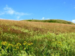 Trainingslauf 2 fr Bezirksorientierungslauf 5 - 120 km langer Biwaklauf durch die Rhn vom 10. - 12.07.2015