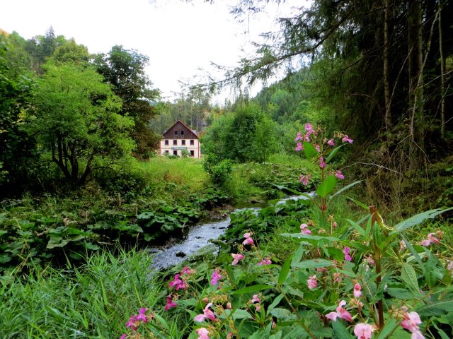 Joggingtour durchs Steinachtal und Frankenwald am 15.08.2015
