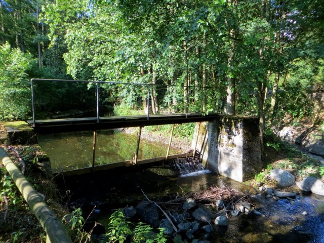 Joggingtour durchs Steinachtal und Frankenwald am 15.08.2015