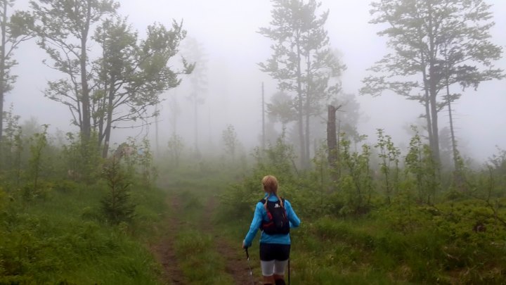 Der König im Bayerwald beim Ultratrail Lamer Winkel 2015